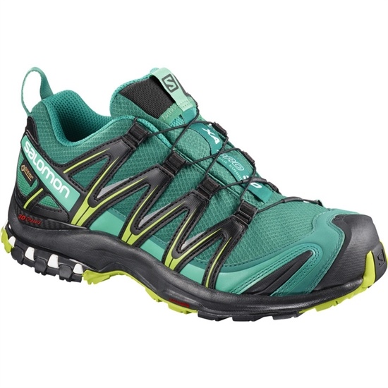 Women's Salomon XA PRO 3D GTX W Trail Running Shoes Green | 2183GSLPQ