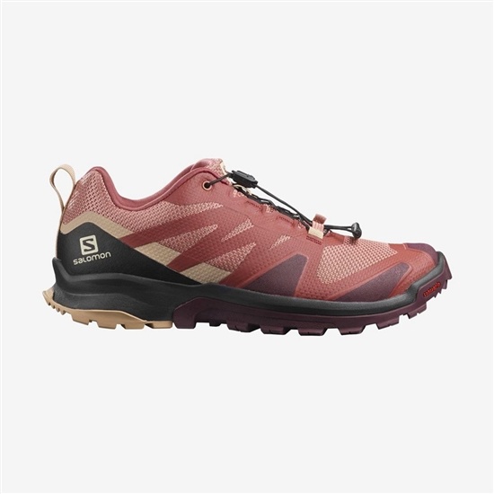 Women's Salomon XA ROGG Trail Running Shoes Multicolor | YQRNAL-945