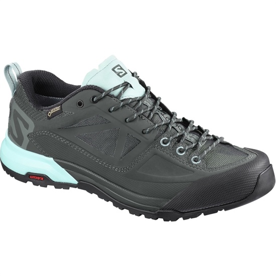 Women's Salomon X ALP SPRY GTX W Hiking Boots Light Turquoise / Dark Grey | SGPAXJ-904